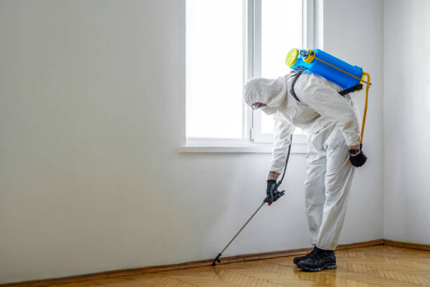 Best Cockroach Control Services  in Lazy Mountain, AK